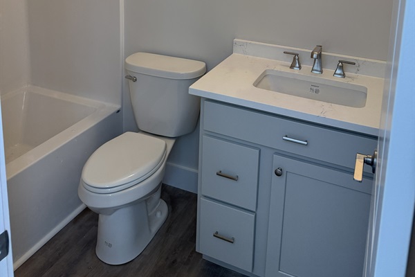 Downstairs king ensuite, construction update 1/31/26.