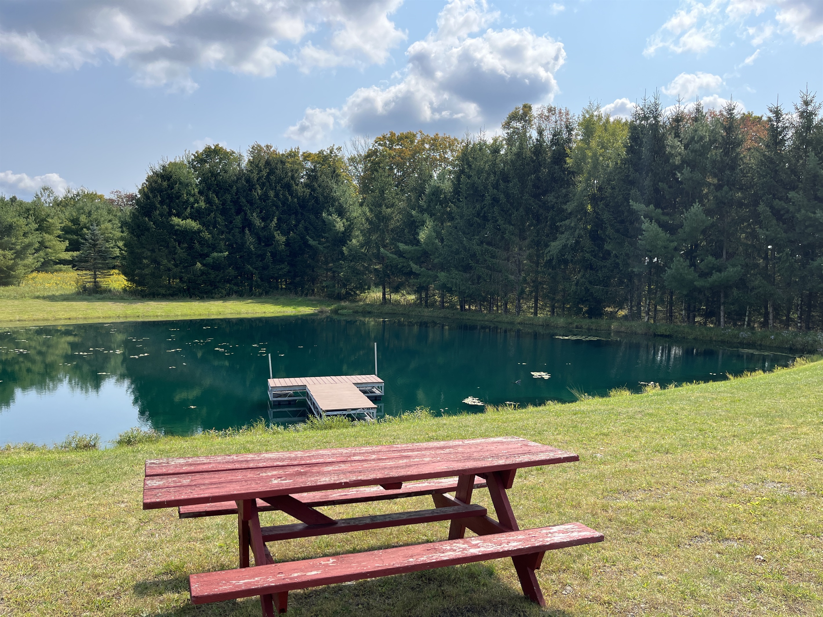 Swimming and fishing pond