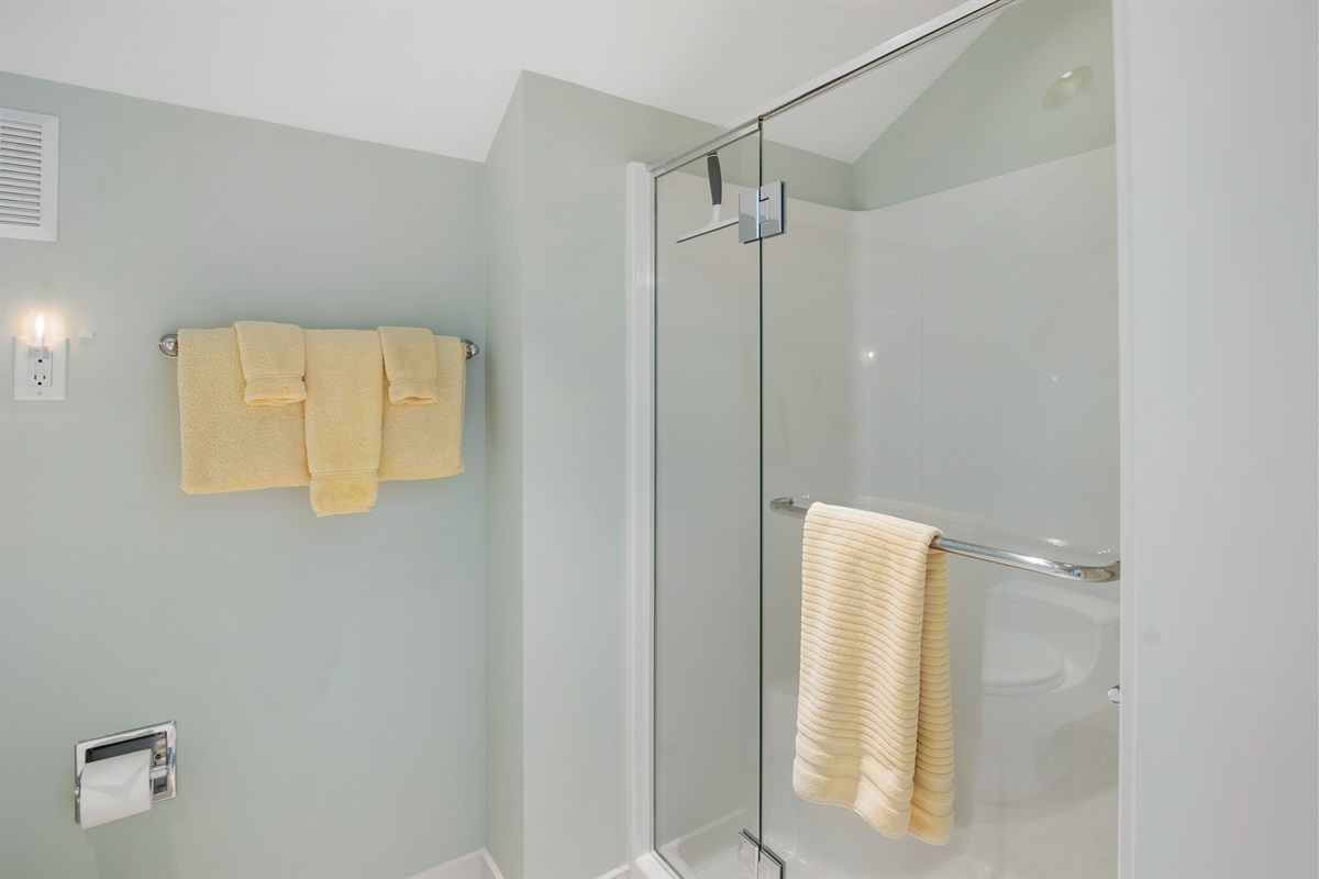 Shower in primary bathroom