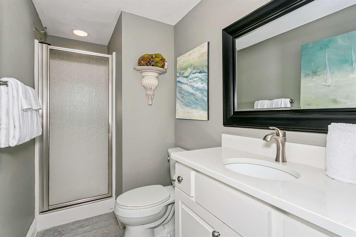 Guest Bathroom with Shower