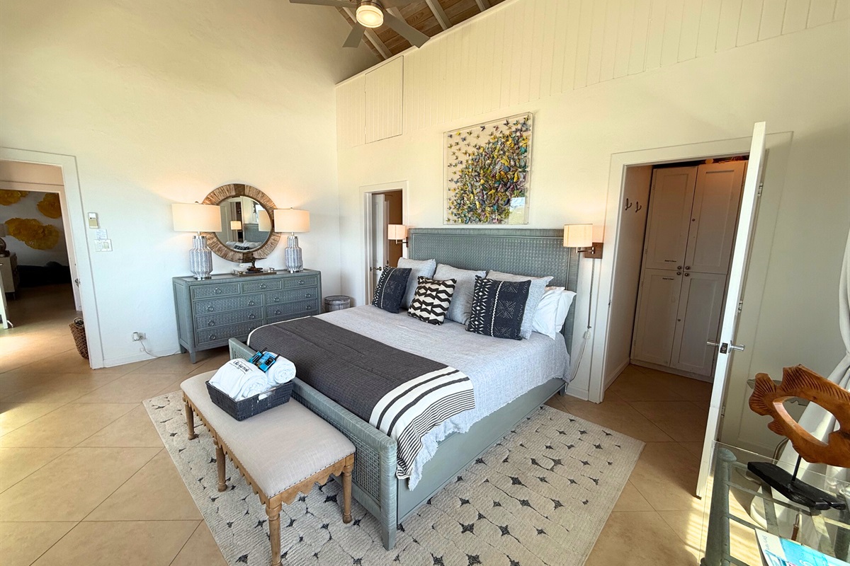 Very large primary bedroom with walk-in closet and ensuite bathroom.