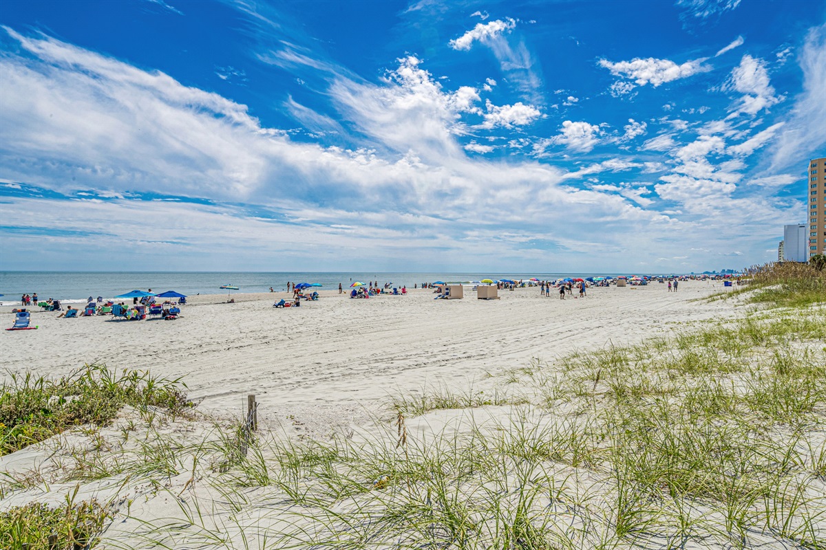 Best Beaches in the area