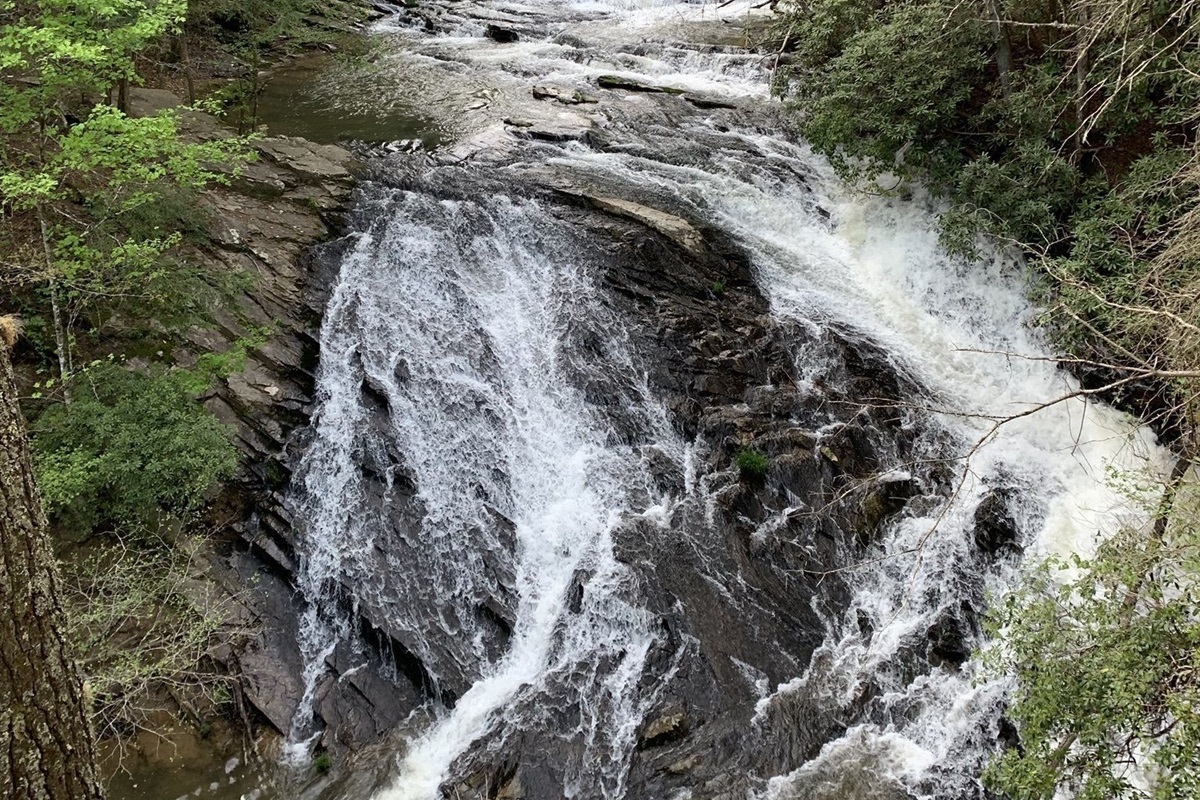 Ellijay Hiking Trails Nearby