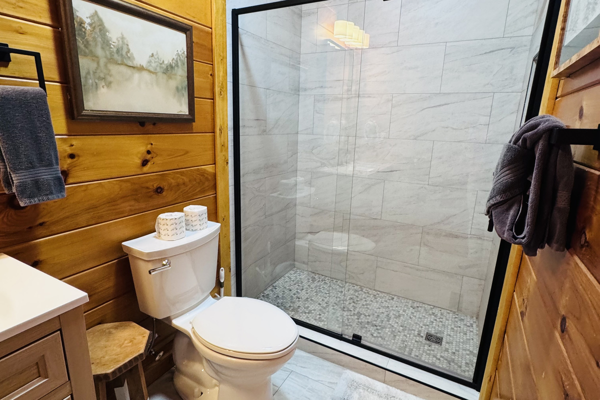 Lower level Shower