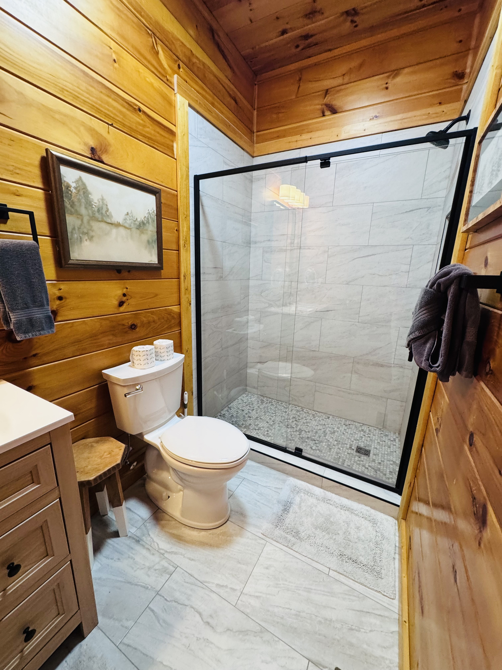 Lower level Shower