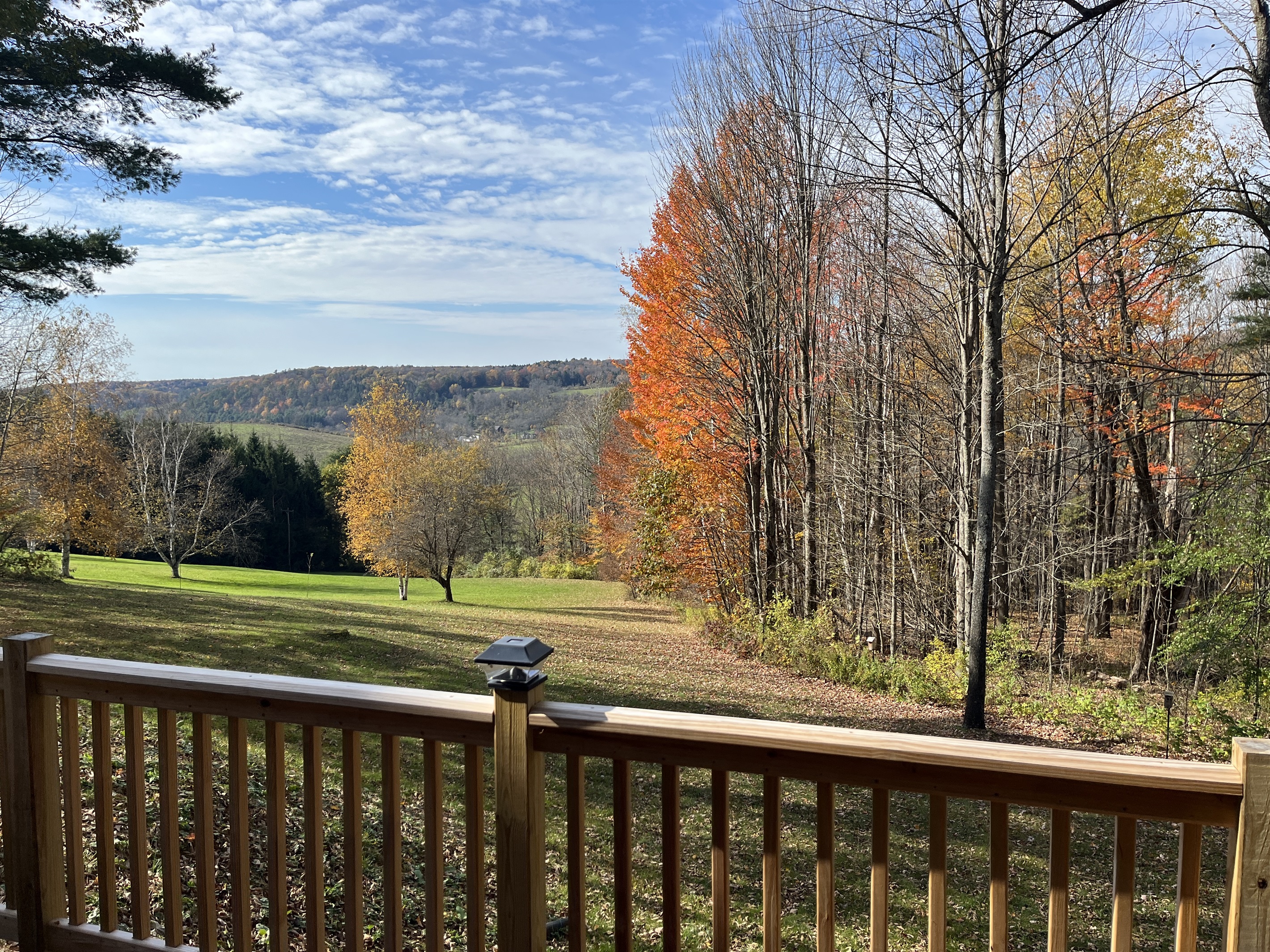 NEW LISTING - Back yard and view
