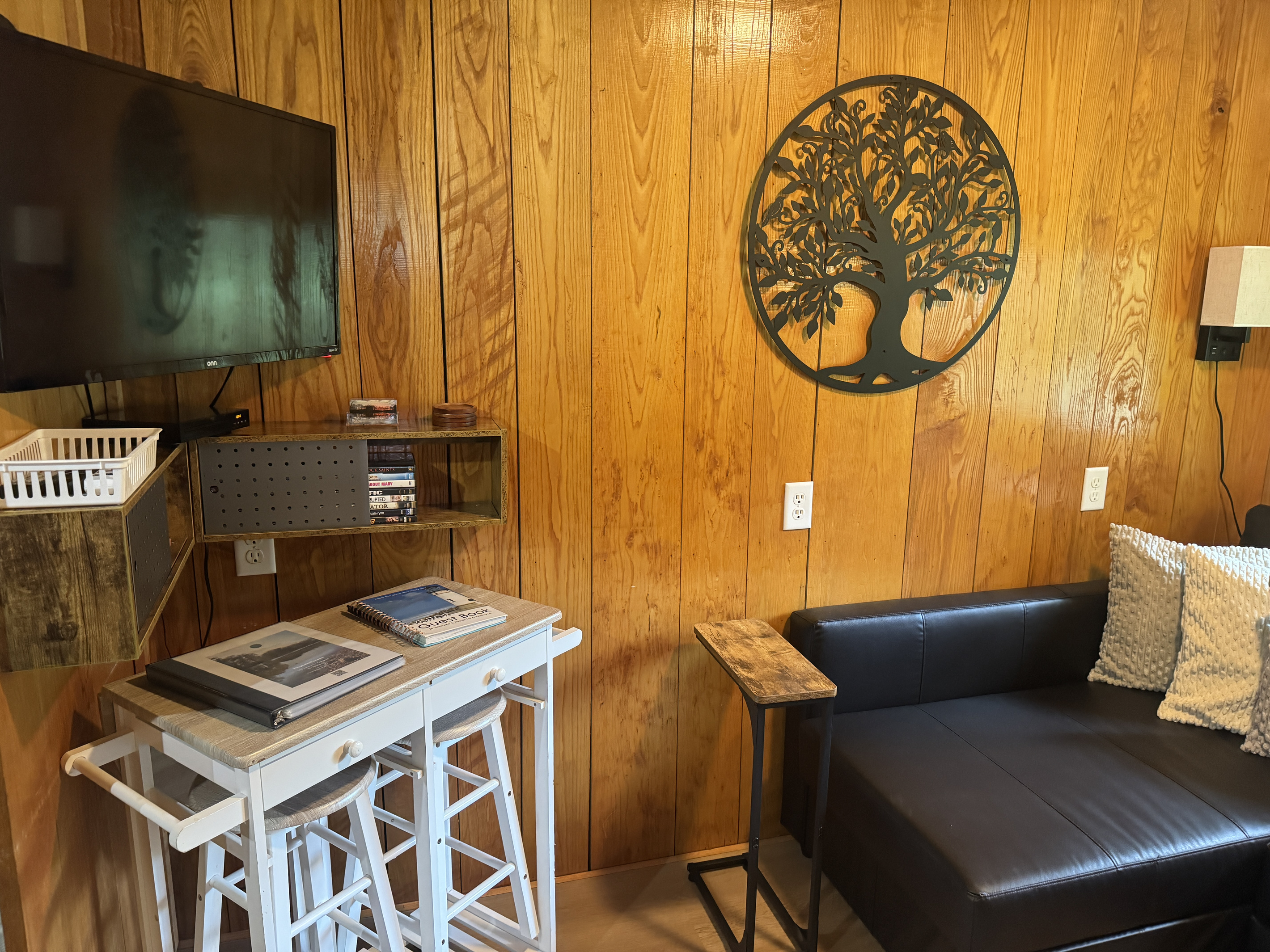 TV in the living room
