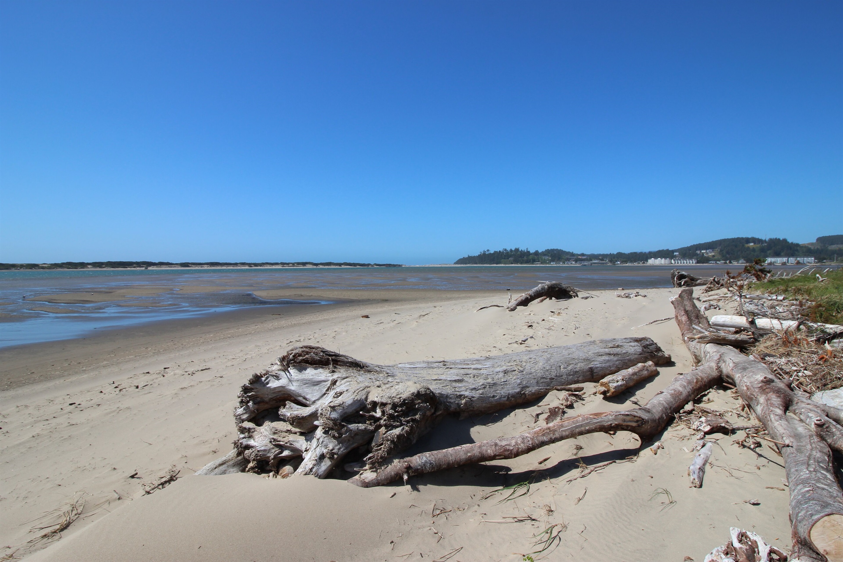 Endless driftwood and hidden treasures like glass floats await!