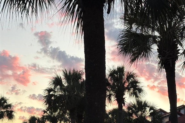 Sunset from Patio