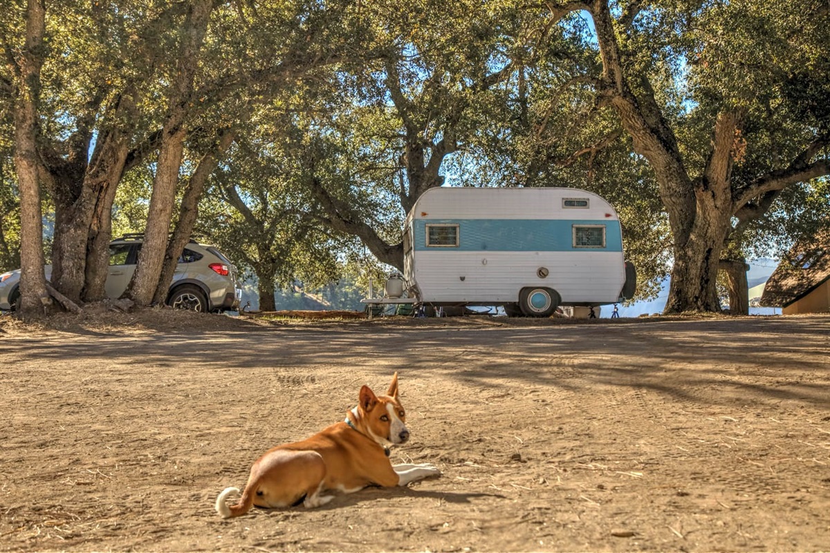 Trailers under 30 feet have no problem coming up
