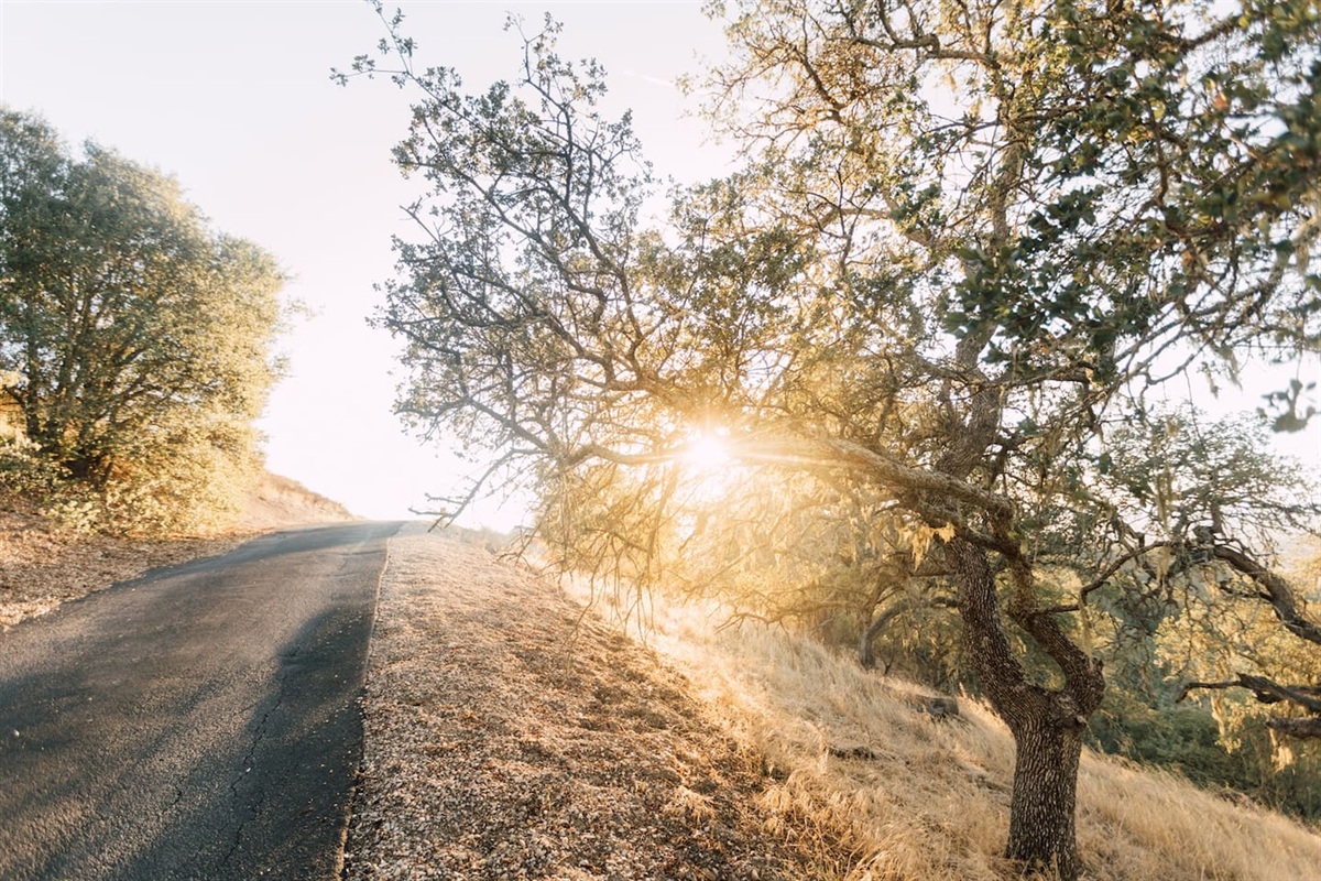 Road up to Vista Santa Lucia