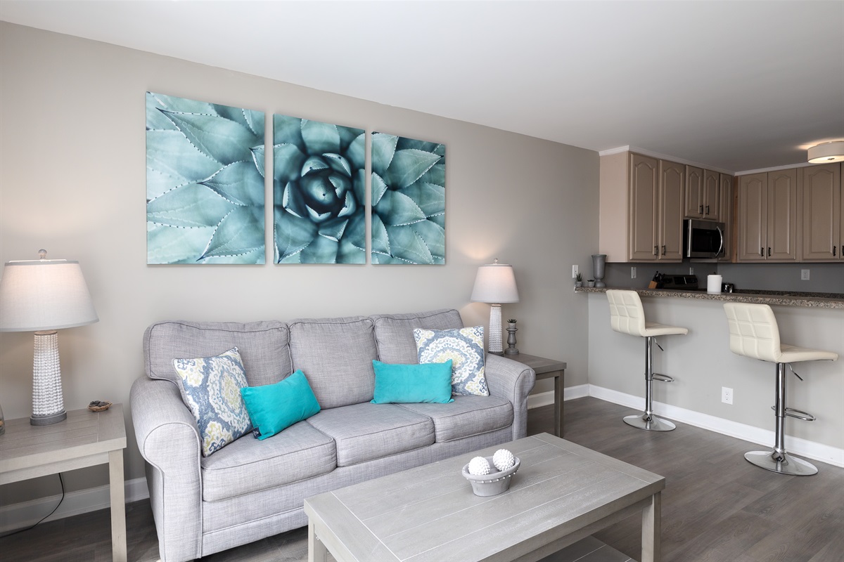 Comfy couch in the living room