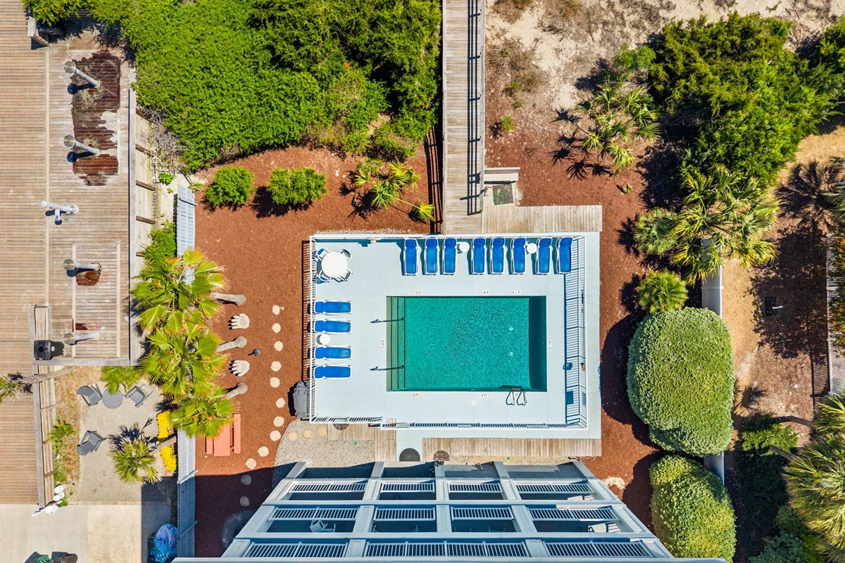 Oceanview Pool | Sea Gull | 201 Oceanview | 1116 Ocean Blvd, Isle of Palms, SC | IOP Escapes