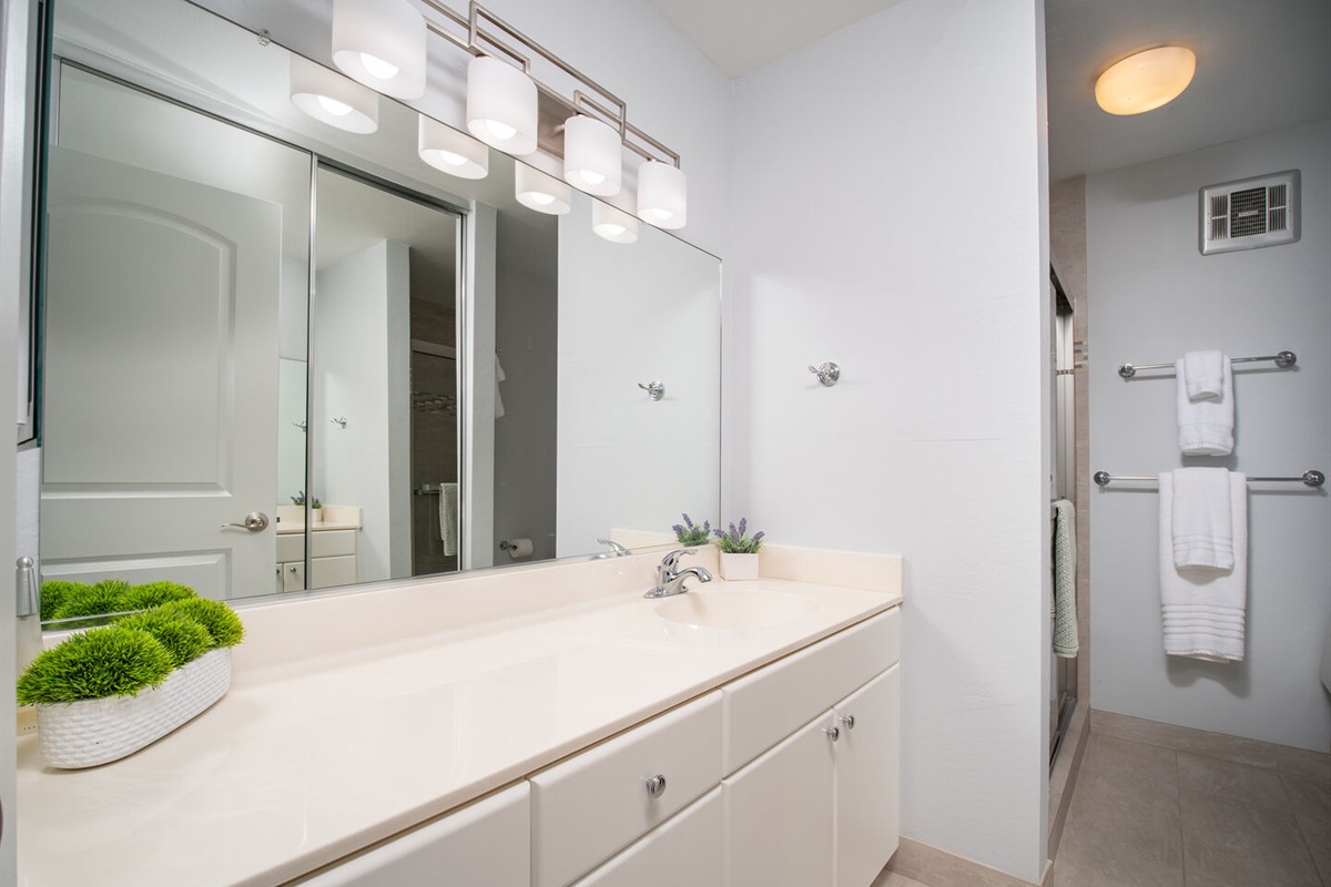 Upstairs Master Bath sink, walk in shower, and  toilet. Closet.
