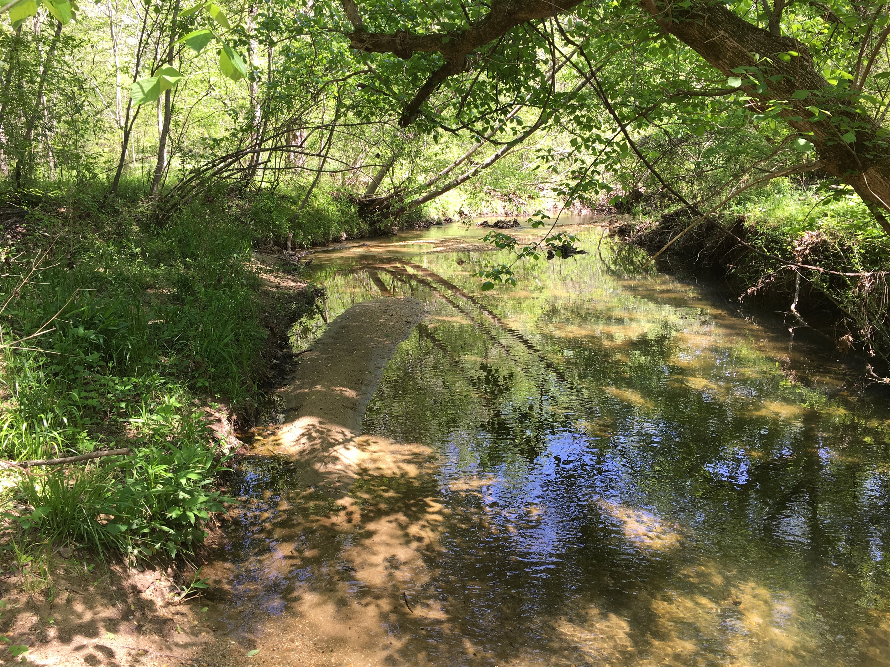 Creek at the back border of the property.
