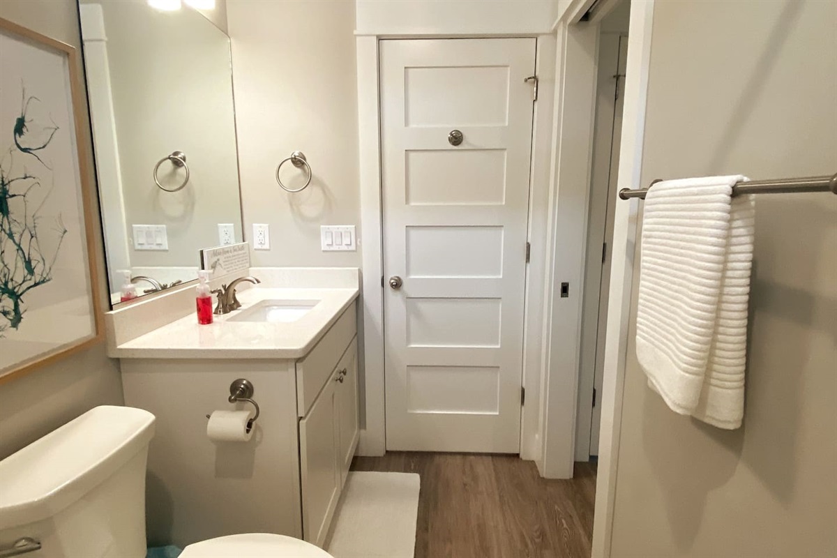 Guest en suite bathroom (hallway accessible)