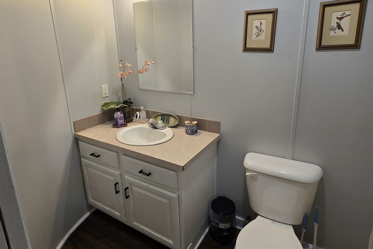 Second Bathroom (Shared)