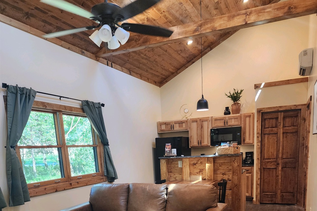 Living Room and Kitchen