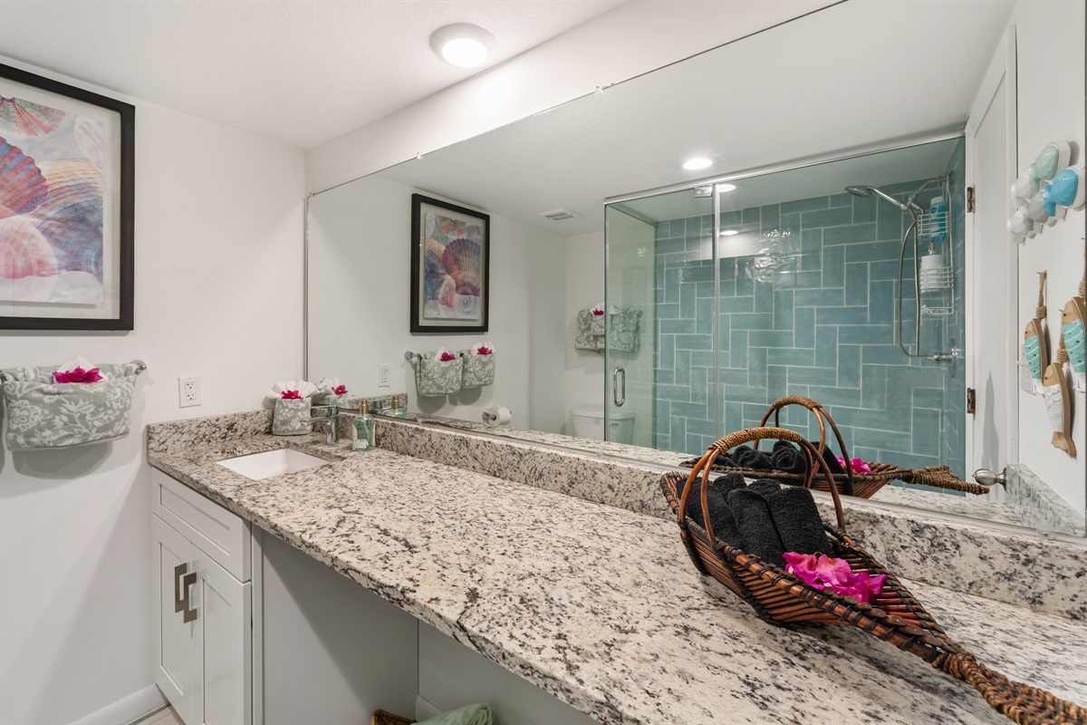 Bathroom with shampoo, conditioner, body wash and hair dryer