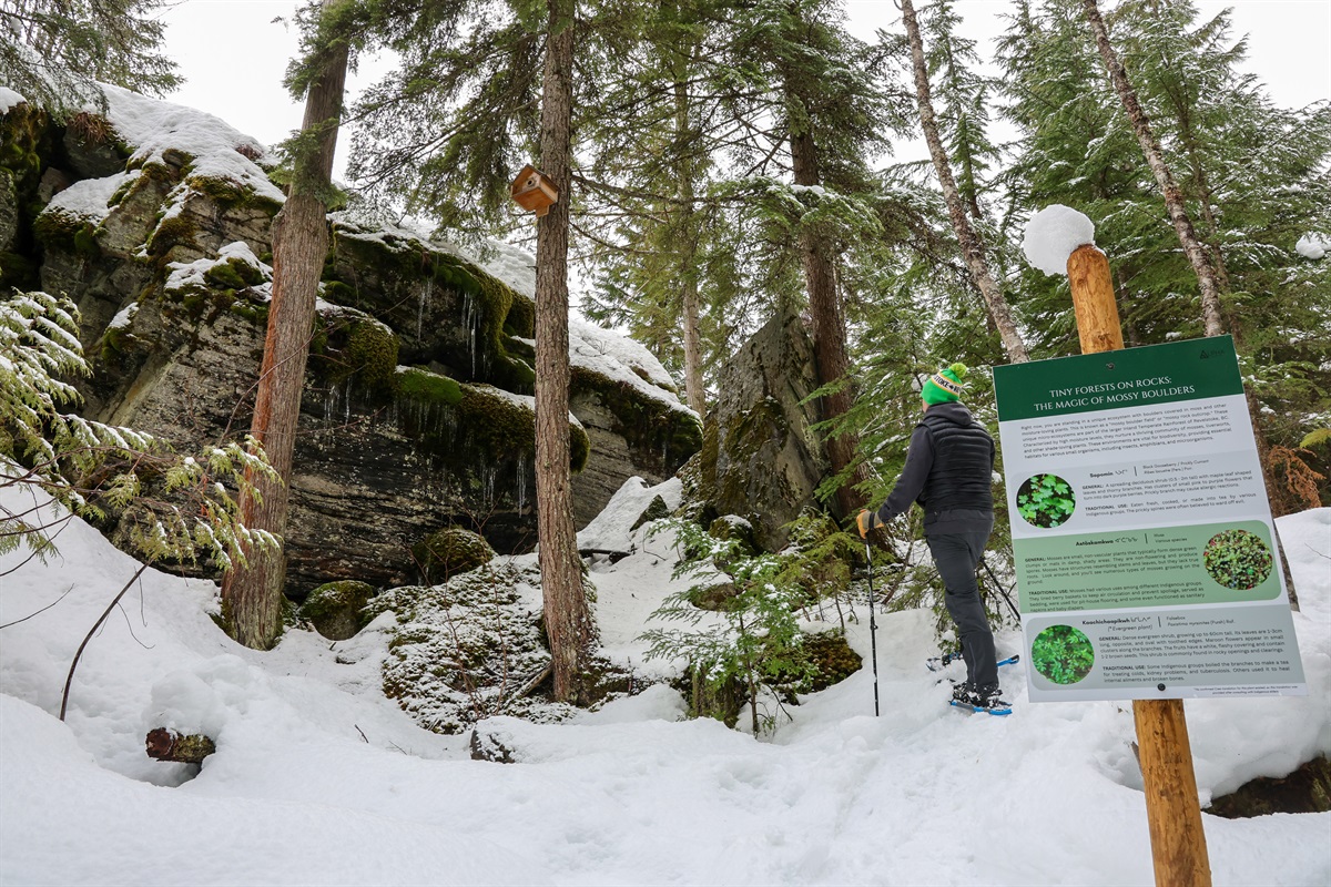 Explore the beauty of our Kih&icirc;w Nature Trail in the winter by snowshoes - rentals available upon request.