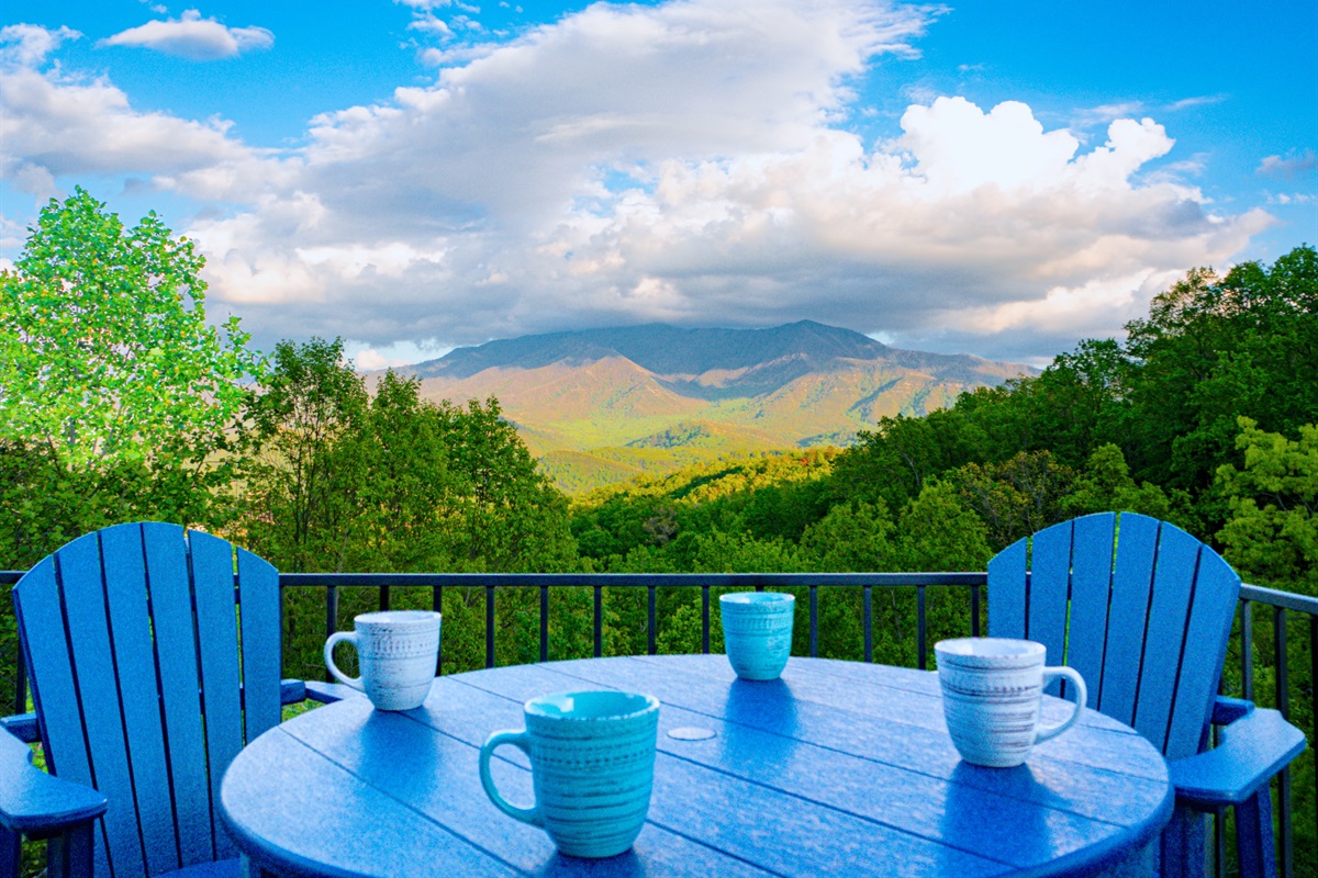 What a wonderful view to go with your morning coffee! Or at anytime.