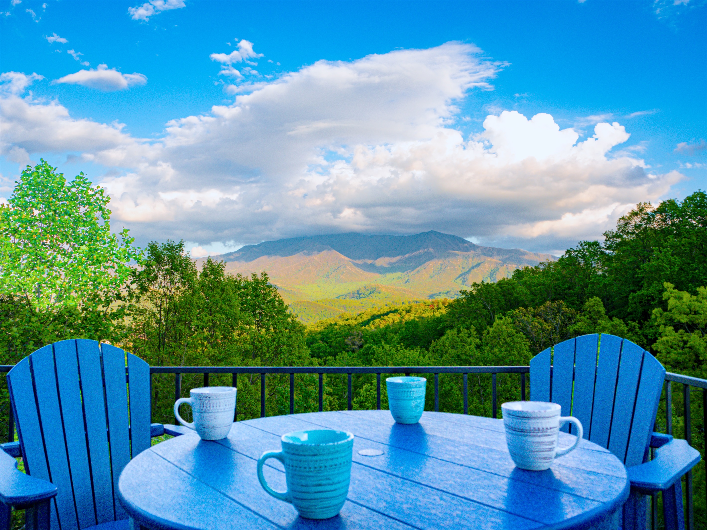 What a wonderful view to go with your morning coffee! Or at anytime.