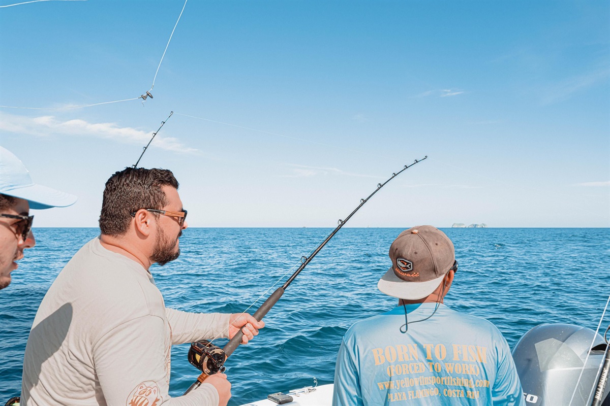 Fishing Tour by BZE