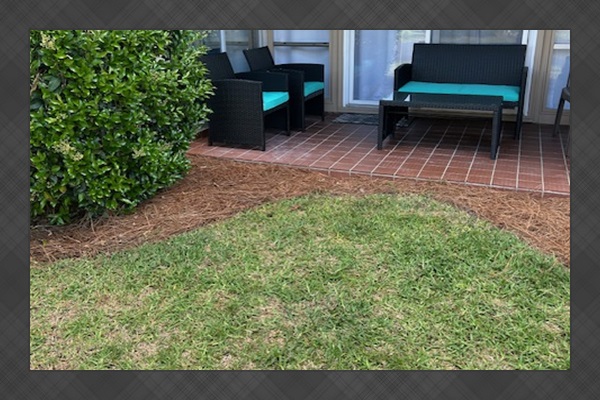 Relaxing Patio