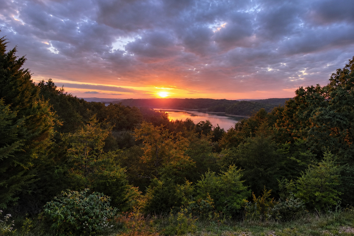 Wake up to sunrise over Douglas Lake - one of the signature views at Stay Kozy Lookout.