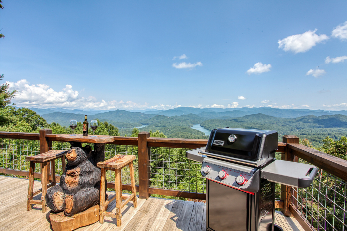 Gas Grill