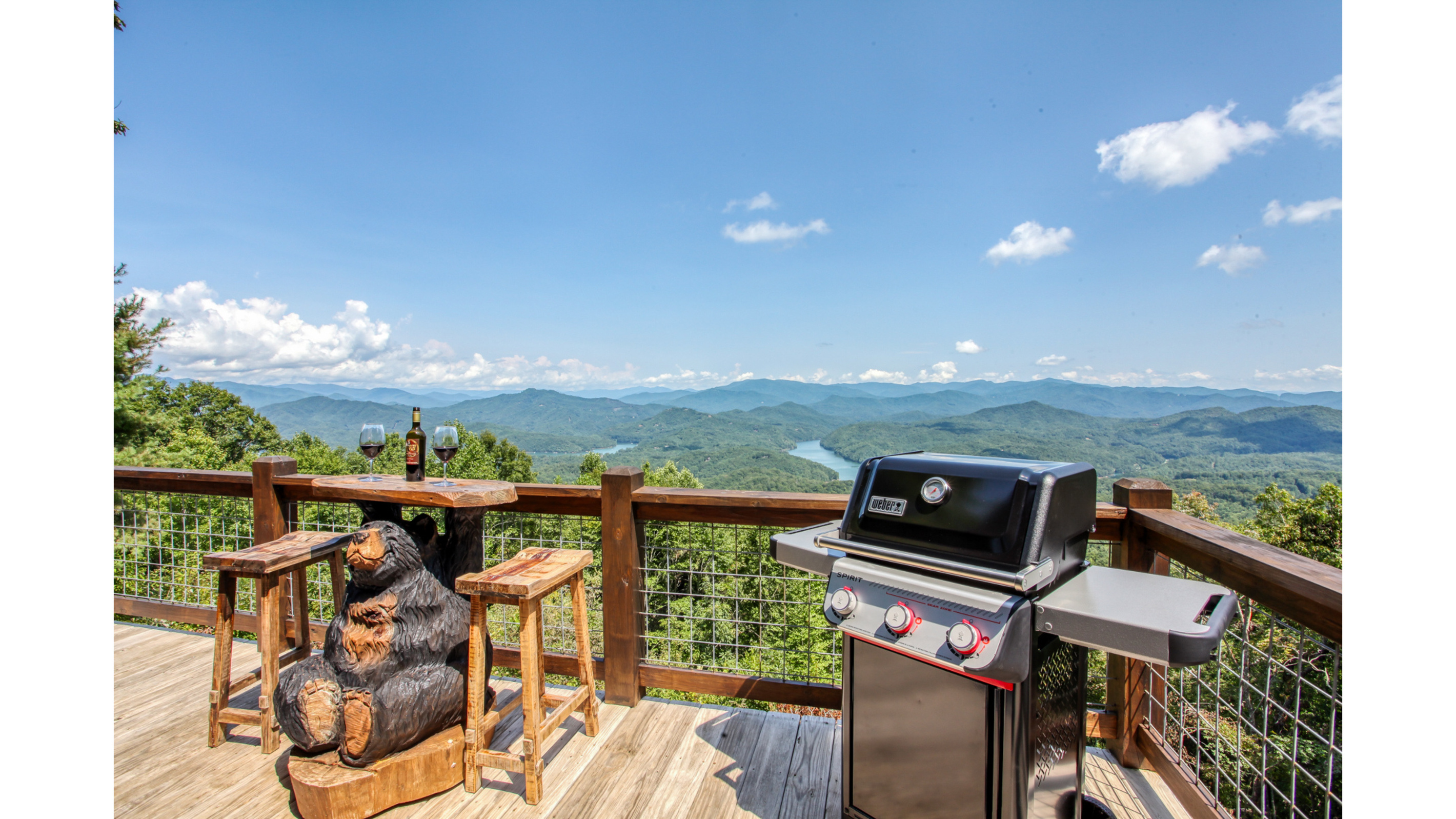 Gas Grill