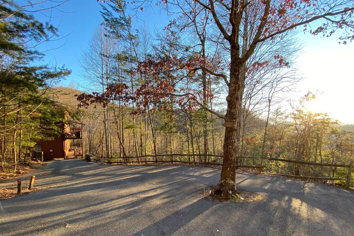 Cabin and parking area is to the left of the tree.