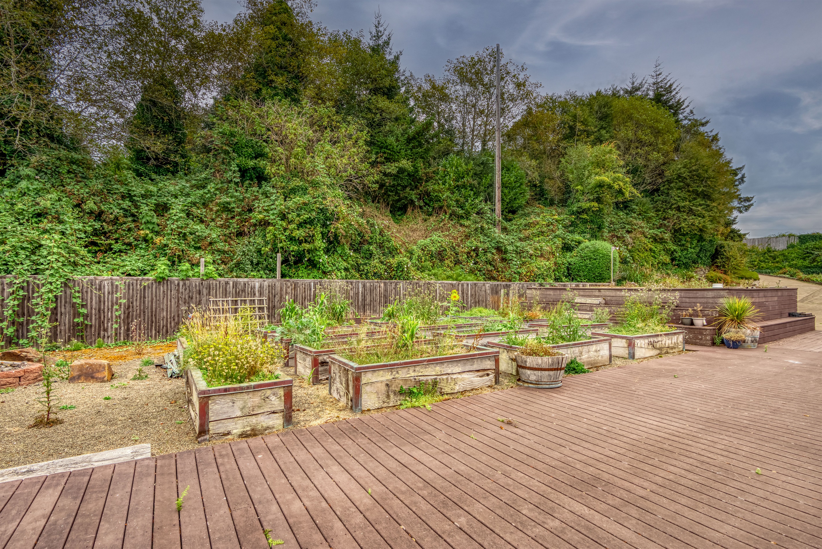 Raised Garden Beds