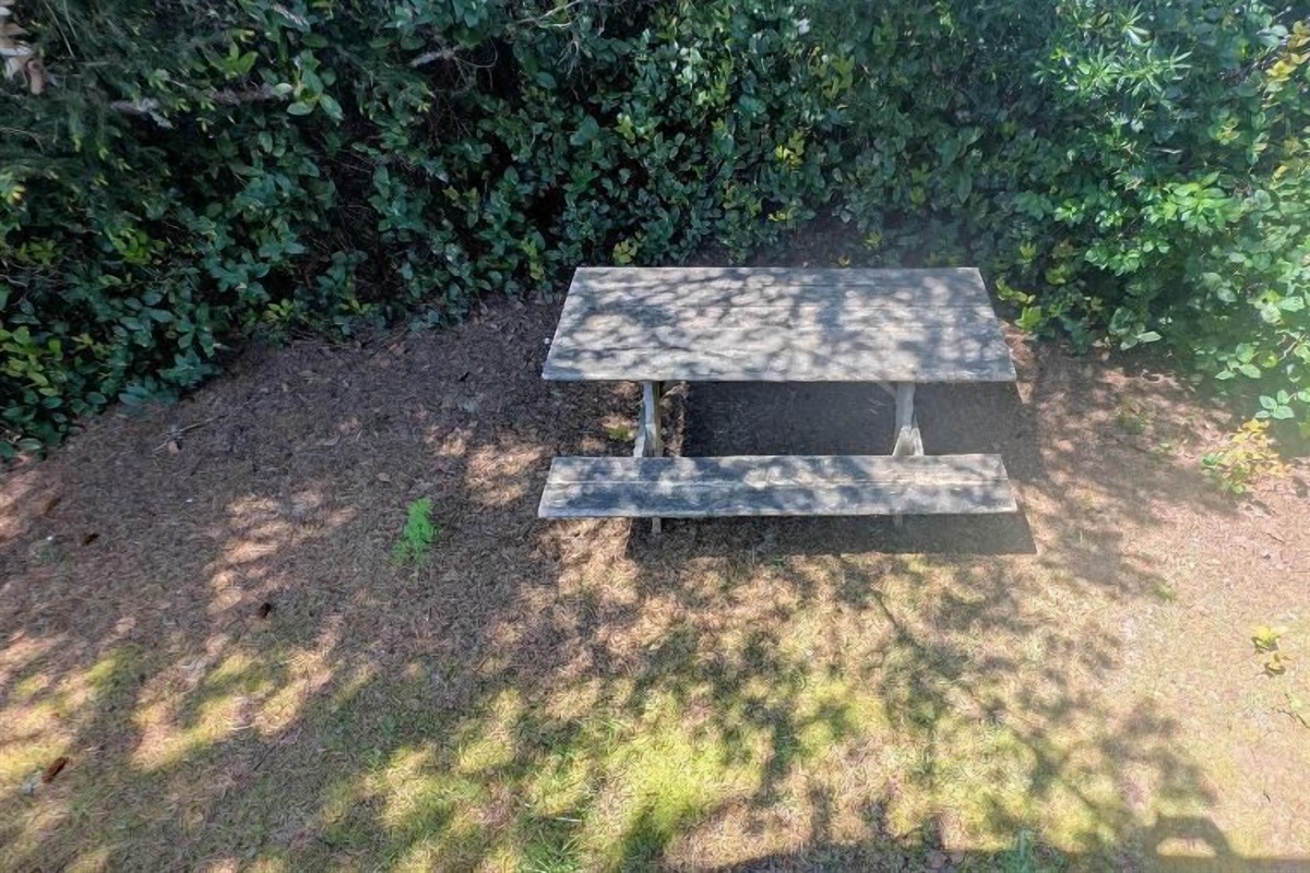 picnic table in yard