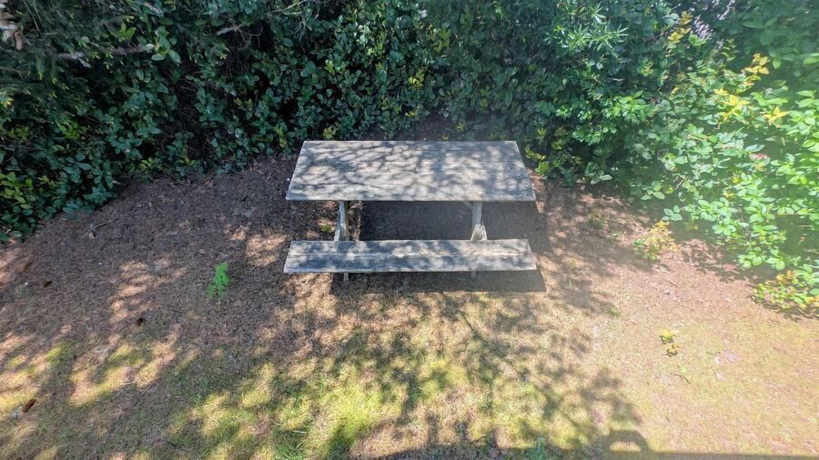 picnic table in yard