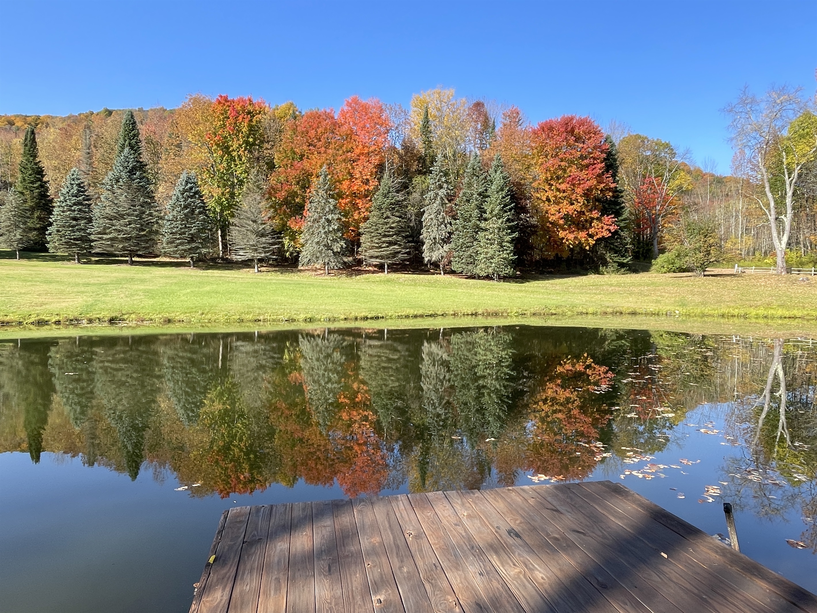 Partridge Pond with mirror-like reflections