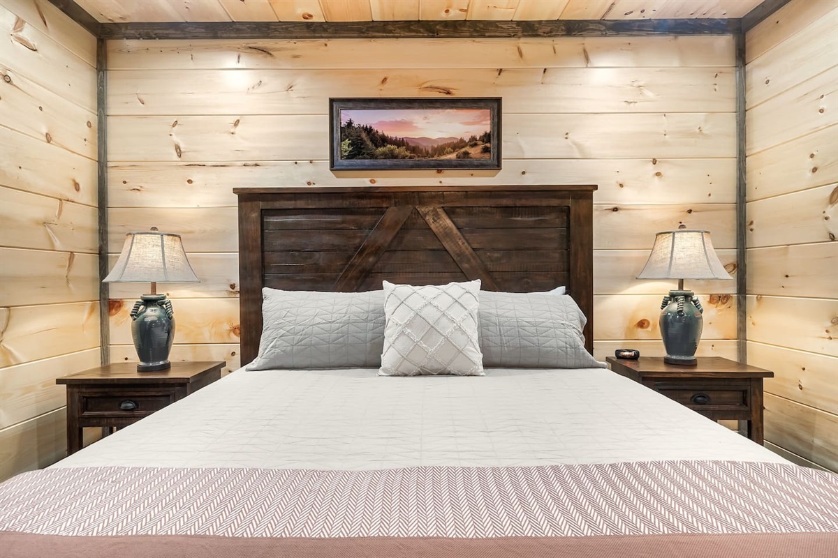 Upstairs King bedroom, TV with byo password for Netflix, private bathroom.