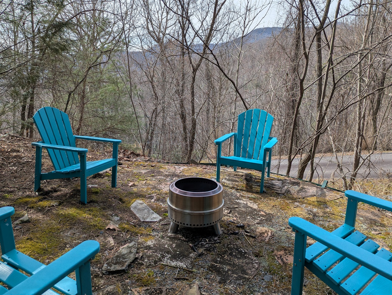 Fire pit - wood not provided