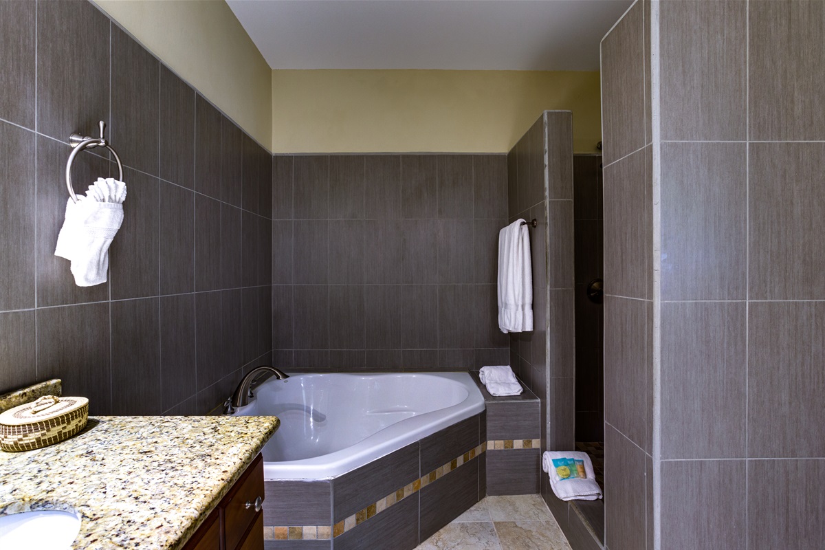2C Primary Bathroom
