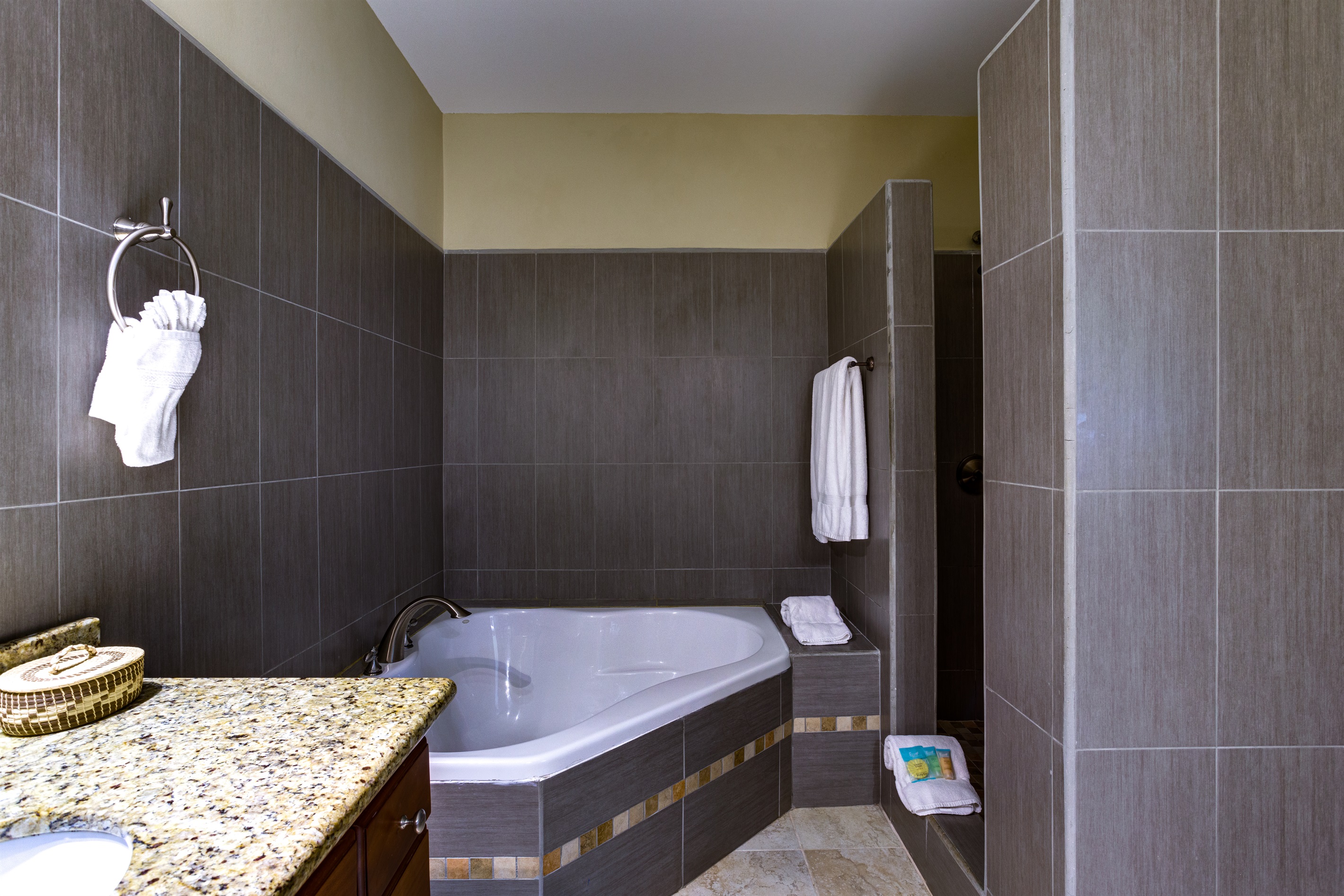 2C Primary Bathroom