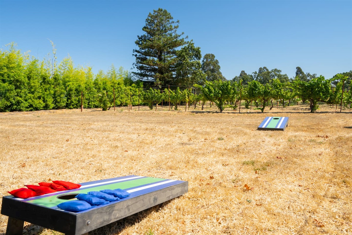 Cornhole fun in the sun!