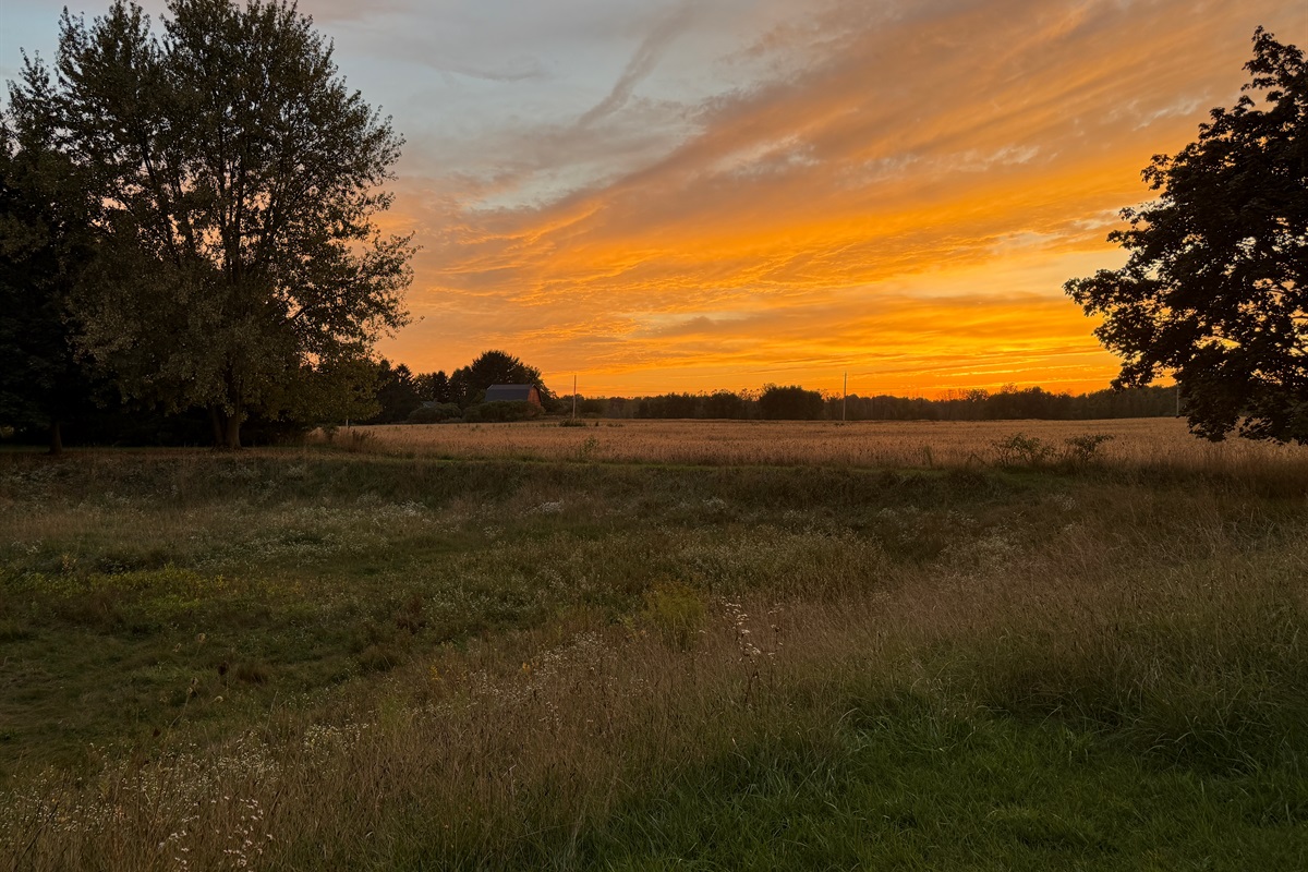 Amazing Sunsets over the Fields!