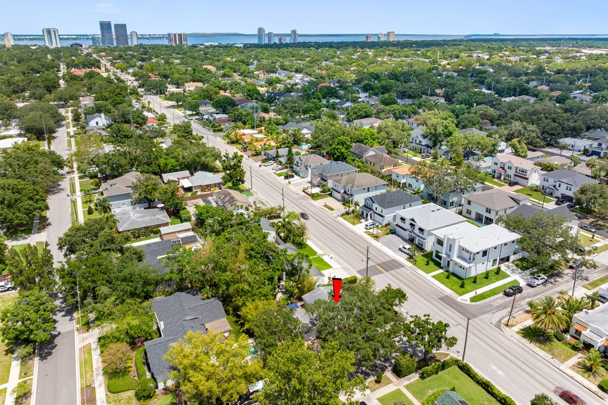 Aerial View of the Neighborhood