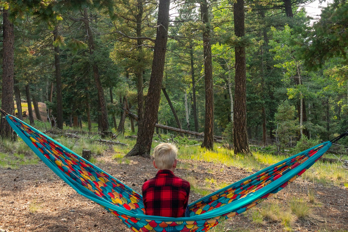 Enjoy the hammock!