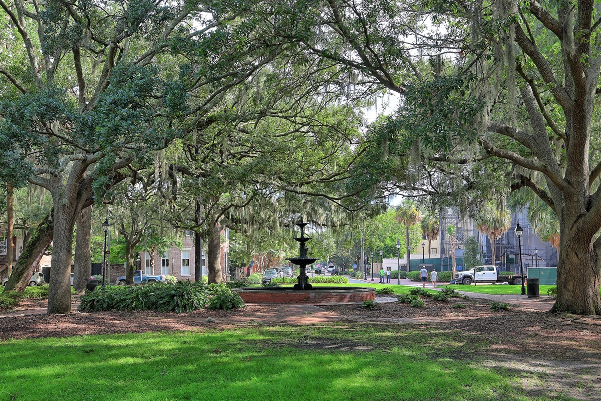 Relax by the beautiful fountain at LaFayette Square, a serene city oasis.