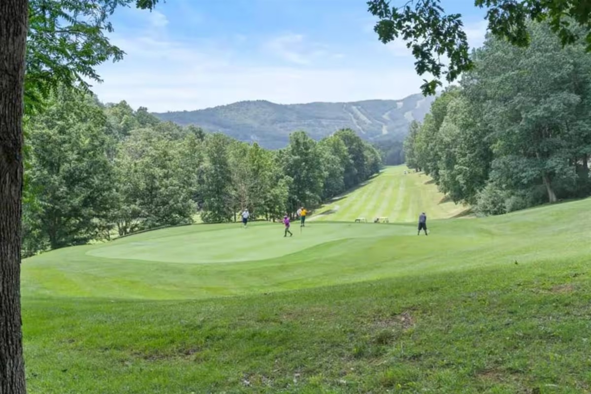Massanutten's golf course plays through the valley with the ski slopes rising behind it — rent clubs at the clubhouse and tee off any morning you want.