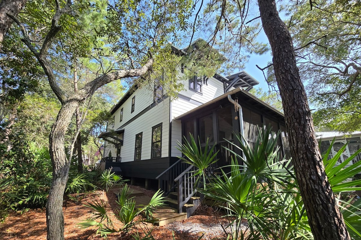 Step up to the inviting screened porch, framed by tall pines and natural landscaping. A charming entryway that blends modern cottage style with the peaceful beauty of the outdoors. ✨
