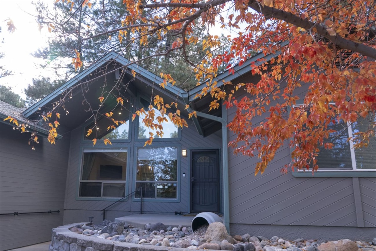 Home entrance with stone details, tree cover, and a cozy seasonal feel