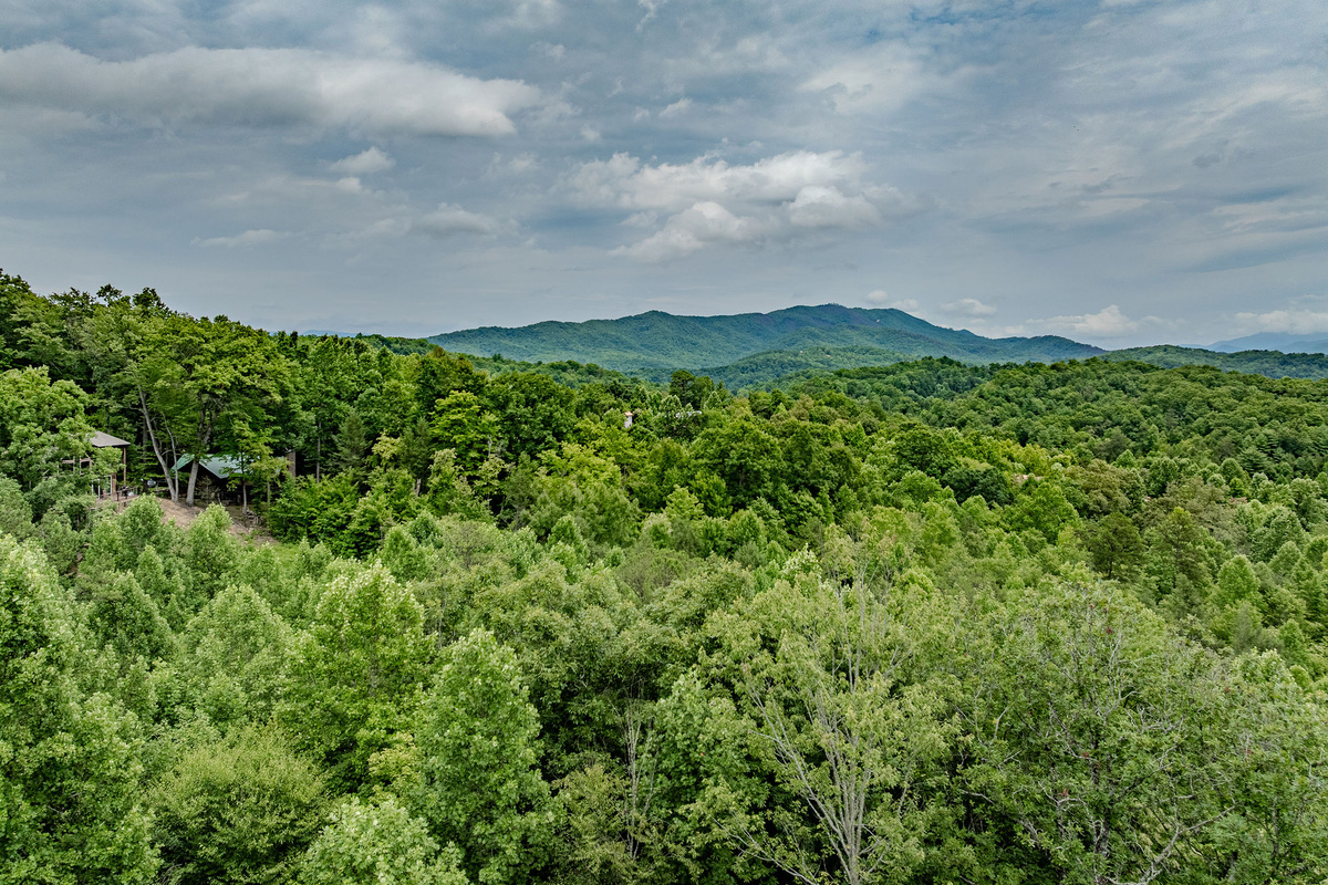 The peaceful wooded surroundings help the cabin feel tucked away from the busier Parkway areas.
