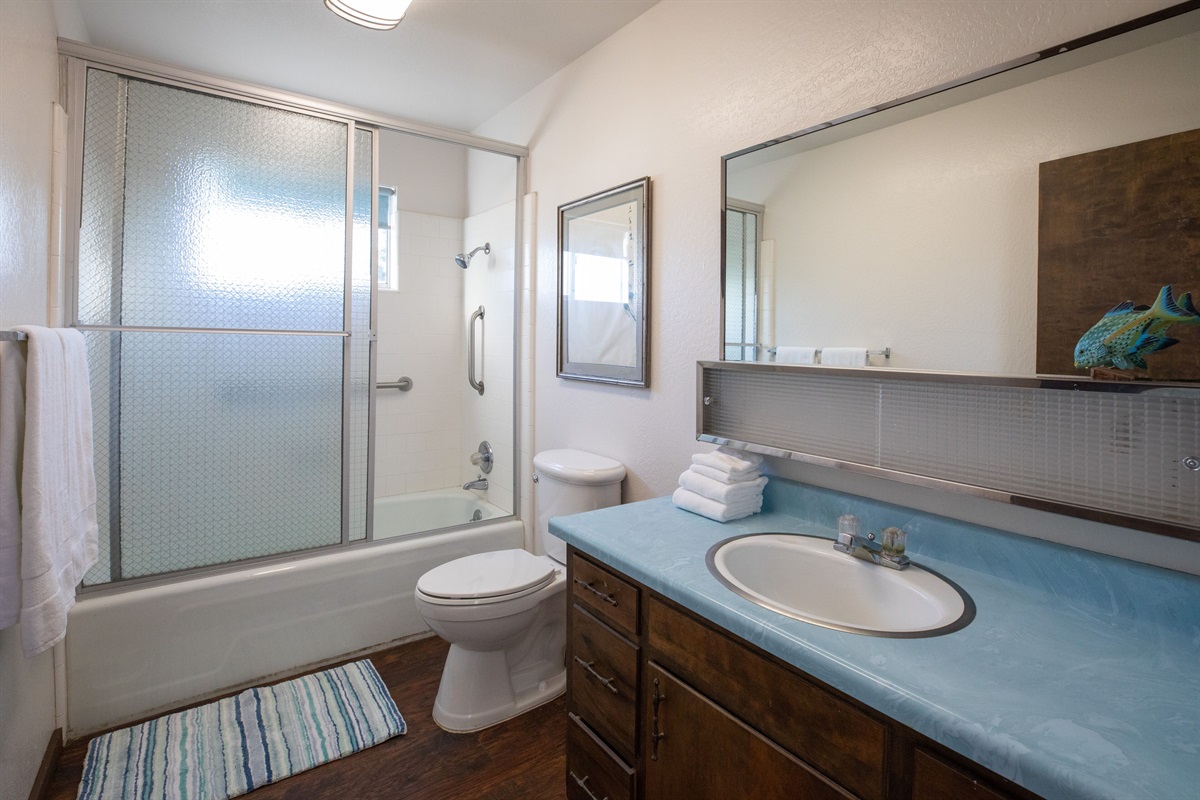 Downstairs - full bathroom